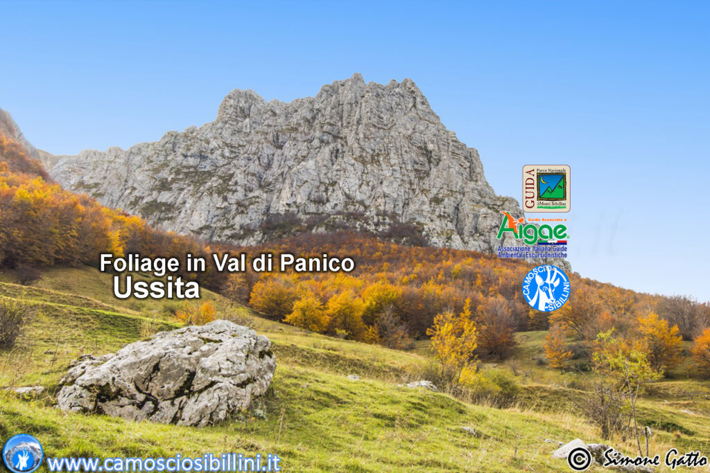 ESCURSIONE AL FOLIAGE IN VAL DI PANICO